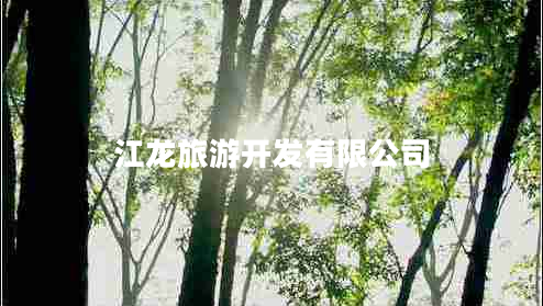 江龙旅游开发有限公司