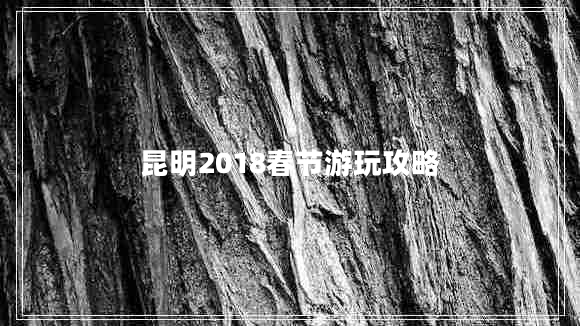 昆明2018春节游玩攻略 昆明2018春节游玩攻略