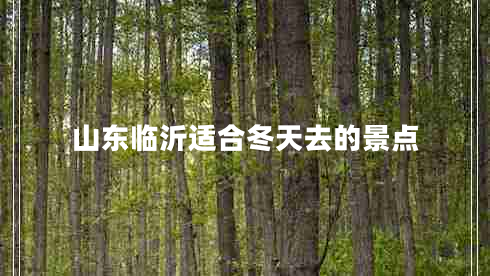 山东临沂适合冬天去的景点