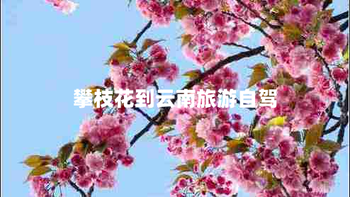 攀枝花到云南旅游自驾