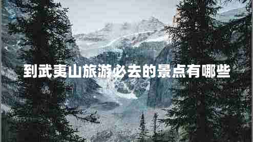 到武夷山旅游必去的景点有哪些