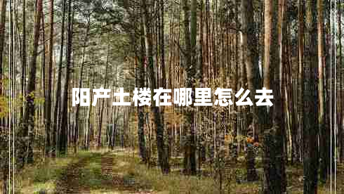 阳产土楼在哪里怎么去