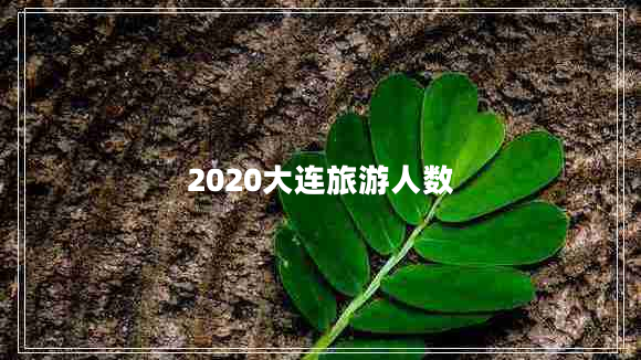 2020大连旅游人数