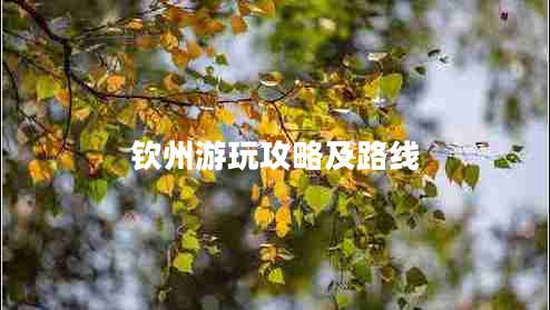 钦州游玩攻略及路线