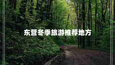 东营冬季旅游推荐地方