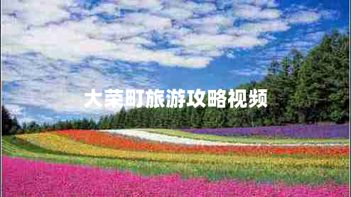 大荣町旅游攻略视频