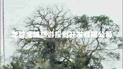 龙胜全域旅游投资开发有限公司