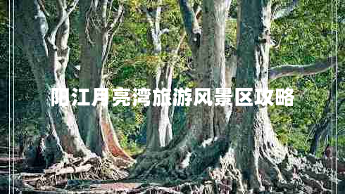 阳江月亮湾旅游风景区攻略