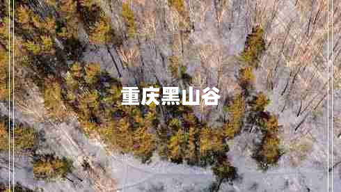 重庆黑山谷