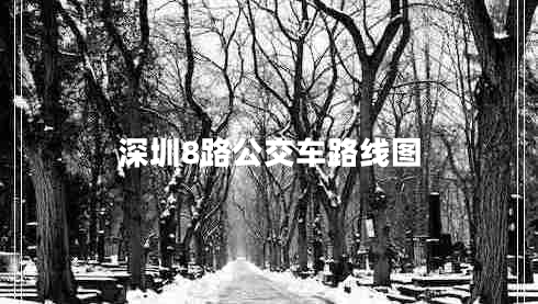 深圳8路公交车路线图