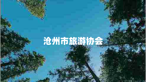 沧州市旅游协会