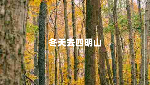 冬天去四明山