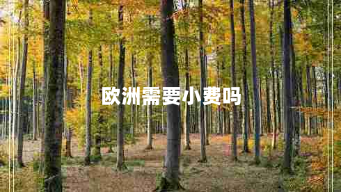 欧洲需要小费吗