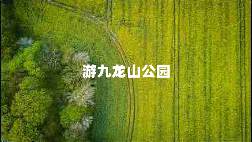 游九龙山公园