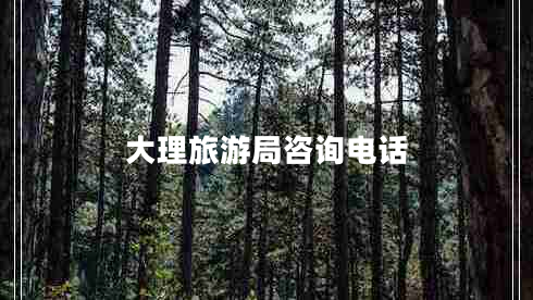 大理旅游局咨询电话