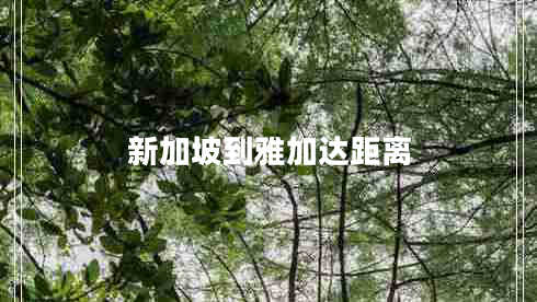 新加坡到雅加达距离