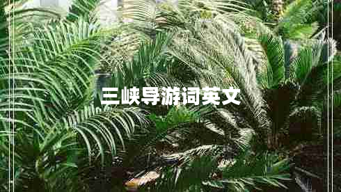 三峡导游词英文