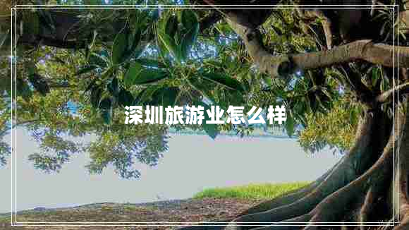 深圳旅游业怎么样