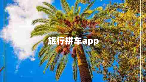 旅行拼车app