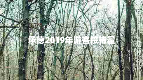 承德2019年游客接待量