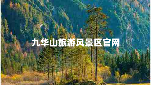 九华山旅游风景区官网