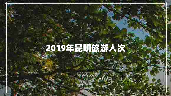 2019年昆明旅游人次