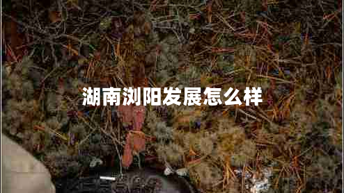 湖南浏阳发展怎么样