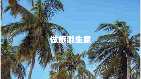 做旅游生意