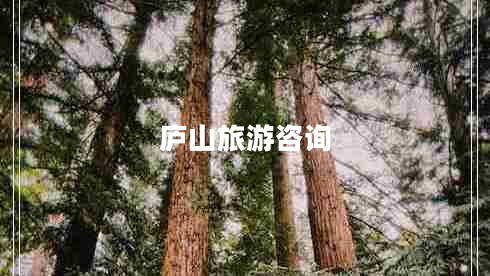 庐山旅游咨询