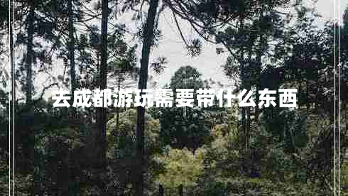 去成都游玩需要带什么东西