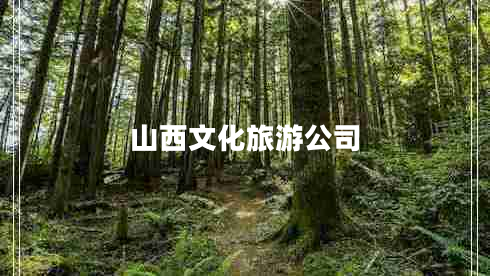 山西文化旅游公司