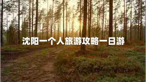 沈阳一个人旅游攻略一日游