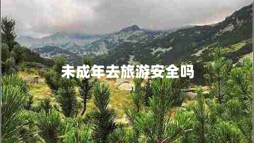 未成年去旅游安全吗