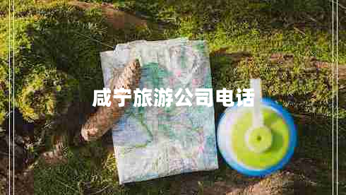 咸宁旅游公司电话