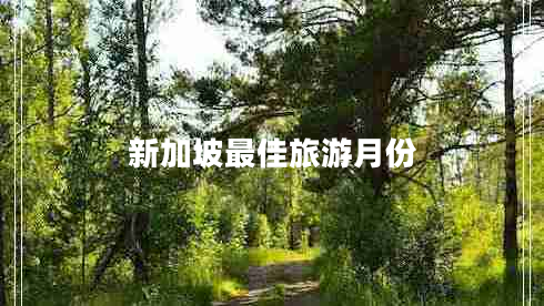 新加坡最佳旅游月份