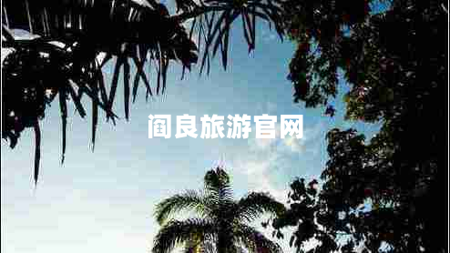 阎良旅游官网