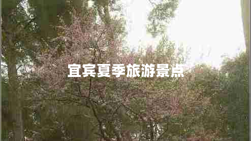 宜宾夏季旅游景点