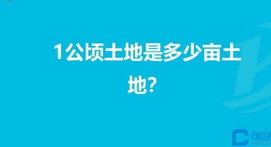 一公頃等於多少畝(15畝(1畝等於666.6666平方米))-學習鳥