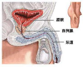 得了肿瘤有哪些方法治疗