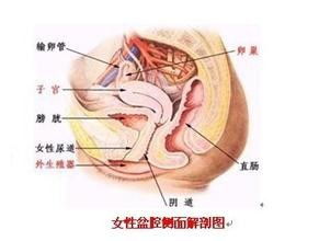 盆腔积液的最好的治疗方法是哪些