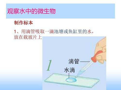 何为观察常见的观察方法有哪些