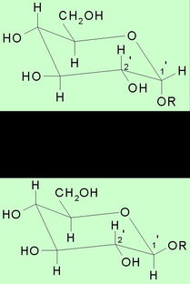 苷类化合物常用水解方法有哪些