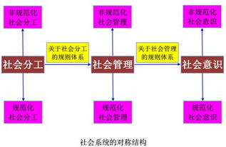 不属于社会系统研究方法有哪些