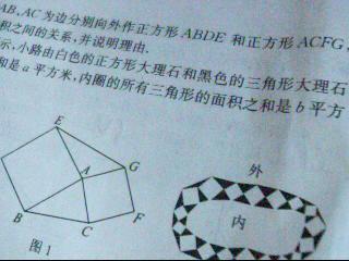 初中面积问题与方法有哪些