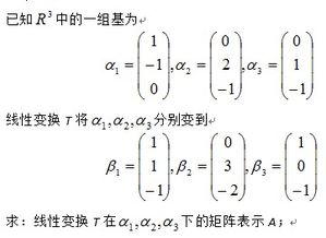 教学中有哪些教学的常用方法