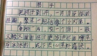 水果的作文有哪些350个字有说明性方法的