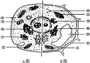 在化合物中引入氨基有哪些方法