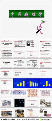 分子病理检测方法包括哪些