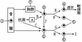 减少或防止苷水解的实验方法有哪些