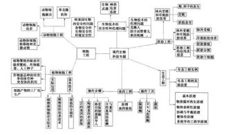 生物导课方法有哪些